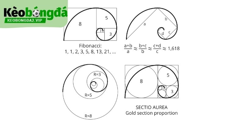 Chiến Thuật Fibonacci: Phân Tích Nhịp Trận Bóng Đá 2 Fibonacci phản ánh quy luật lặp lại theo chu kỳ.