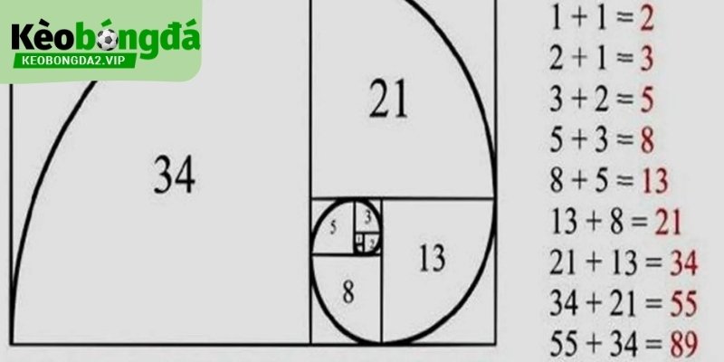 Chiến Thuật Fibonacci: Phân Tích Nhịp Trận Bóng Đá 1 chien-thuat-fibonacci