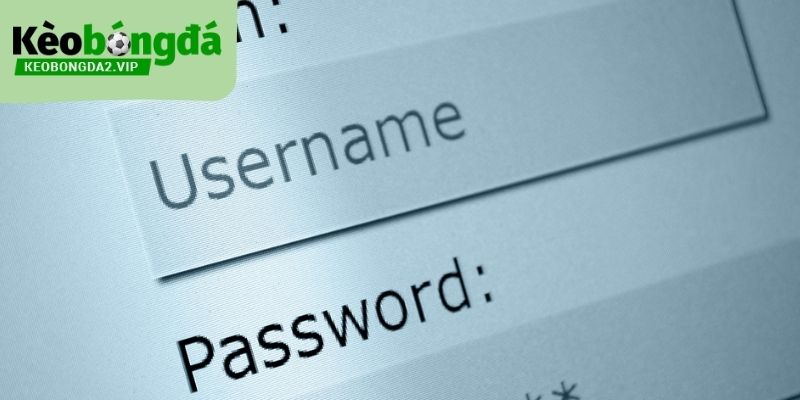 Đăng nhập Kèo Bóng Đá bằng thông tin chính xác như khi tạo tài khoản