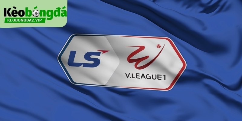 Số Liệu Thống Kê V - League Và Những Xu Hướng Đáng Chú Ý 2 Số liệu thống kê V - League siêu quan trọng