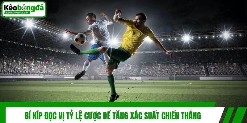 Bí kíp đọc vị tỷ lệ cược để tăng xác suất chiến thắng