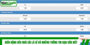 Biến Động Kèo Nhà Cái Là Gì Và Những Thông Tin Bạn Cần Biết