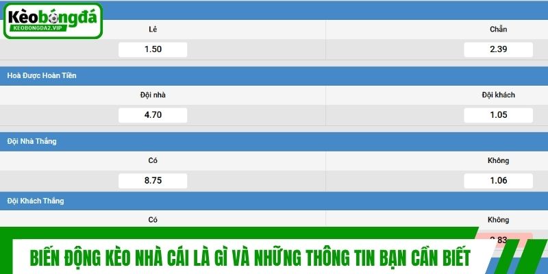 Biến Động Kèo Nhà Cái Là Gì Và Những Thông Tin Bạn Cần Biết
