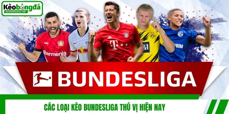 Các loại kèo Bundesliga thú vị hiện nay