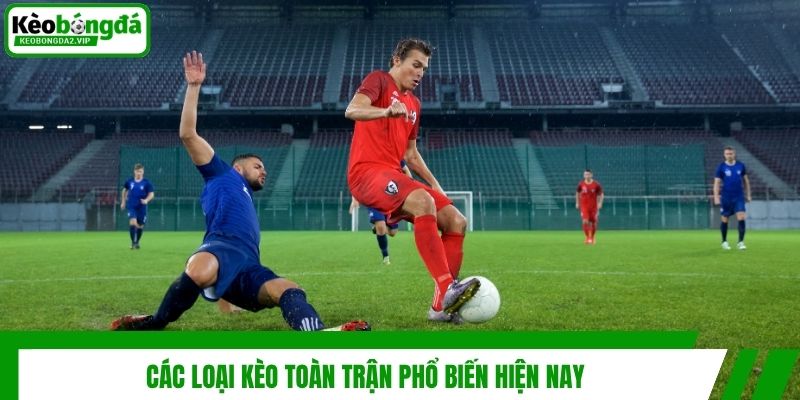 Các loại kèo toàn trận phổ biến hiện nay