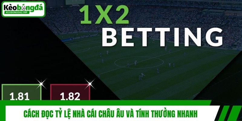 Cách đọc tỷ lệ nhà cái châu Âu và tính thưởng nhanh