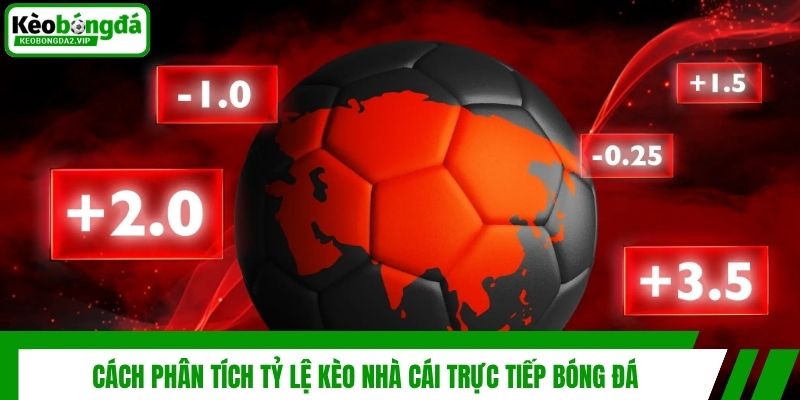 Cách phân tích tỷ lệ kèo nhà cái trực tiếp bóng đá