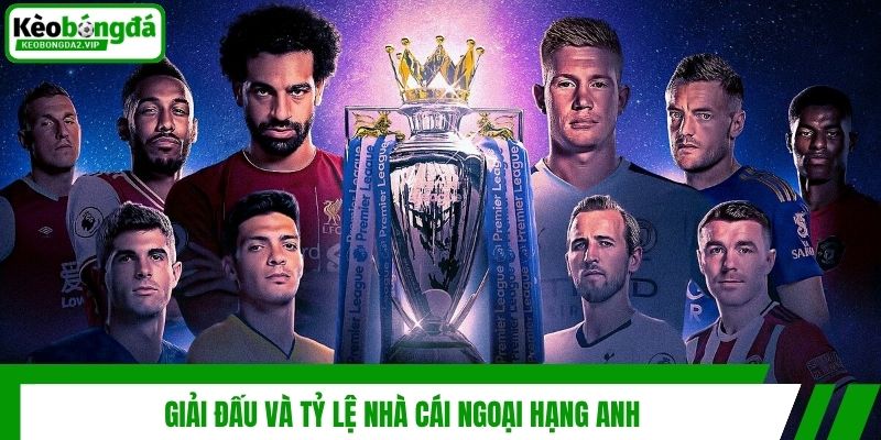Giải đấu và tỷ lệ nhà cái Ngoại Hạng Anh
