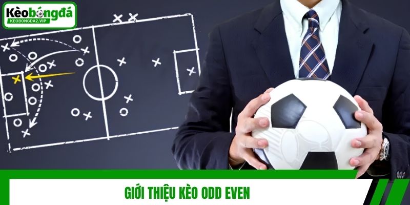 Giới thiệu kèo odd even