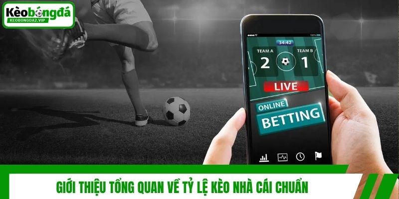 Giới thiệu tổng quan về tỷ lệ kèo nhà cái chuẩn