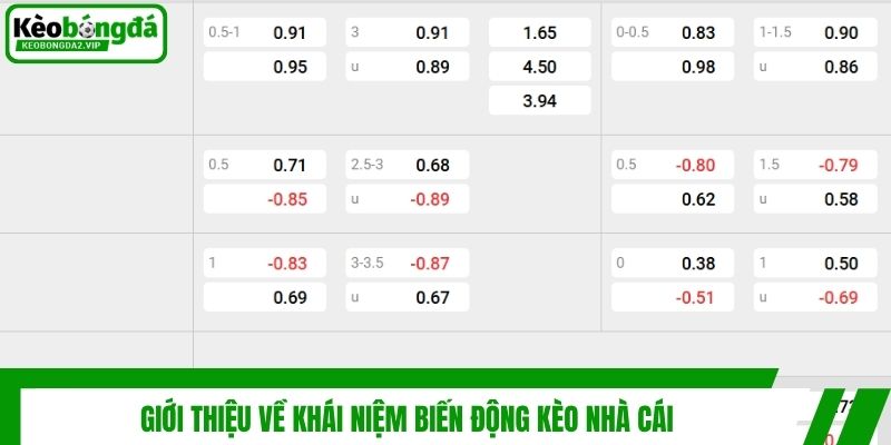 Giới thiệu về khái niệm biến động kèo nhà cái
