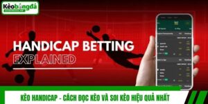Kèo Handicap - Cách Đọc Kèo Và Soi Kèo Hiệu Quả Nhất