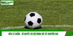 Kèo Lẻ Chẵn - Bí Quyết Cá Độ Bóng Đá Từ Chuyên Gia