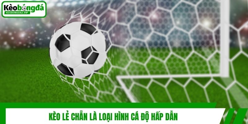 Kèo lẻ chẵn là loại hình cá độ hấp dẫn