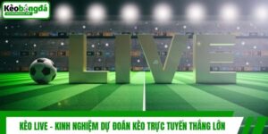 Kèo Live - Kinh Nghiệm Dự Đoán Kèo Trực Tuyến Thắng Lớn