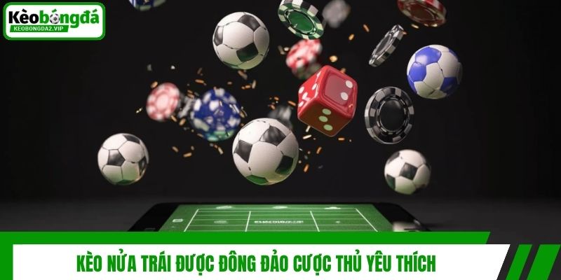 Kèo nửa trái được đông đảo cược thủ yêu thích
