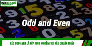 Kèo Odd Even Là Gì? Kinh Nghiệm Soi Kèo Chuẩn Nhất