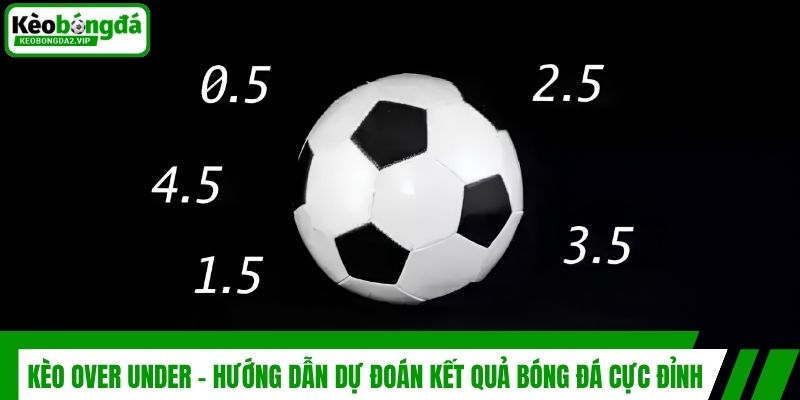 Kèo Over Under - Hướng Dẫn Dự Đoán Kết Quả Bóng Đá Cực Đỉnh