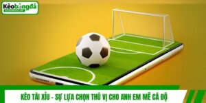 Kèo Tài Xỉu - Sự Lựa Chọn Thú Vị Cho Anh Em Mê Cá Độ