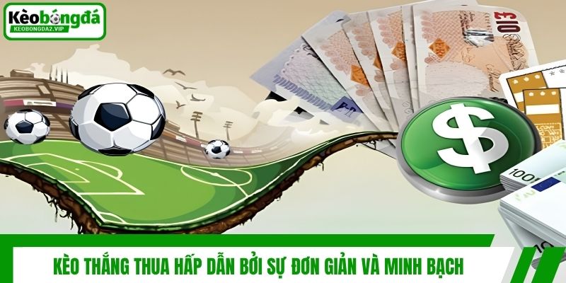 Kèo thắng thua hấp dẫn bởi sự đơn giản và minh bạch