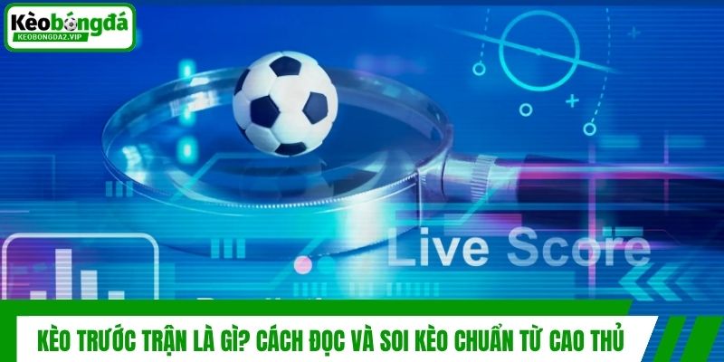 Kèo Trước Trận Là Gì? Cách Đọc Và Soi Kèo Chuẩn Từ Cao Thủ