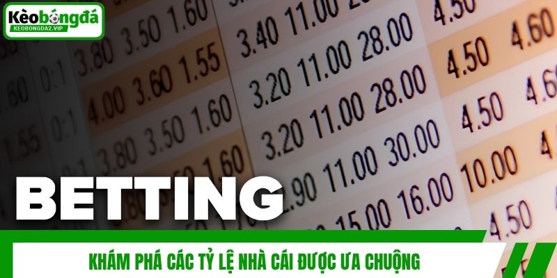 Khám phá các tỷ lệ nhà cái được ưa chuộng