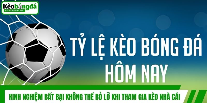 Kinh Nghiệm Bất Bại Không Thể Bỏ Lỡ Khi Tham Gia Kèo Nhà Cái