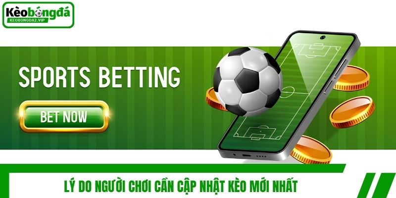 Lý do người chơi cần cập nhật kèo mới nhất