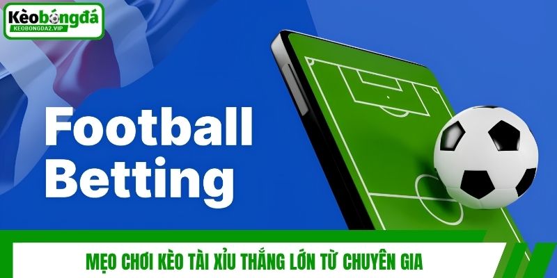 Kèo Tài Xỉu - Sự Lựa Chọn Thú Vị Cho Anh Em Mê Cá Độ 3 Mẹo chơi kèo tài xỉu thắng lớn từ chuyên gia
