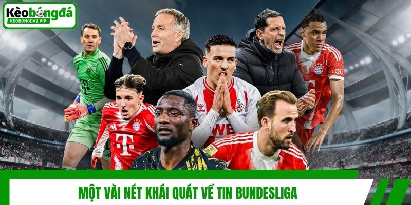 Một vài nét khái quát về tin Bundesliga