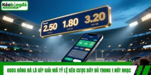 Odds Bóng Đá Là Gì? Giải Mã Tỷ Lệ Kèo Cược Đầy Đủ