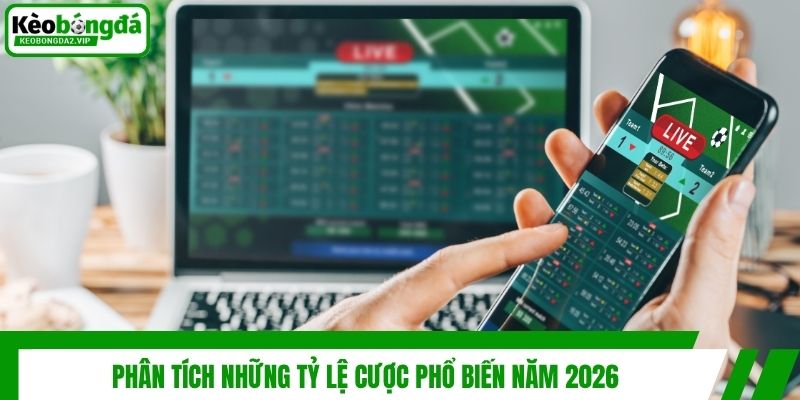 Phân tích những tỷ lệ cược phổ biến năm 2026