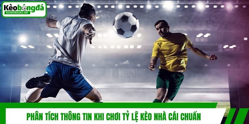Phân tích thông tin khi chơi tỷ lệ kèo nhà cái chuẩn