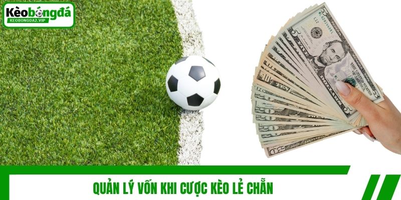 Quản lý vốn khi cược kèo lẻ chẵn