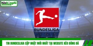 Tin Bundesliga Cập Nhật Mới Nhất Tại Website Kèo Bóng Đá