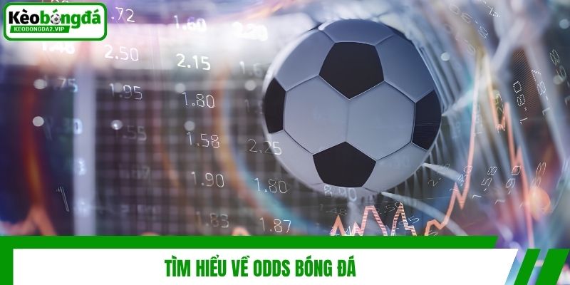 Tìm hiểu về Odds bóng đá