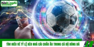 Tìm Hiểu Về Tỷ Lệ Kèo Nhà Cái Châu Âu Trong Cá Độ Bóng Đá