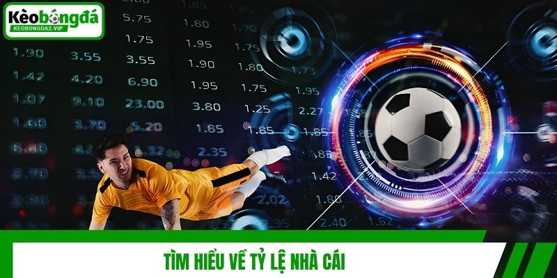 Tìm hiểu về tỷ lệ nhà cái