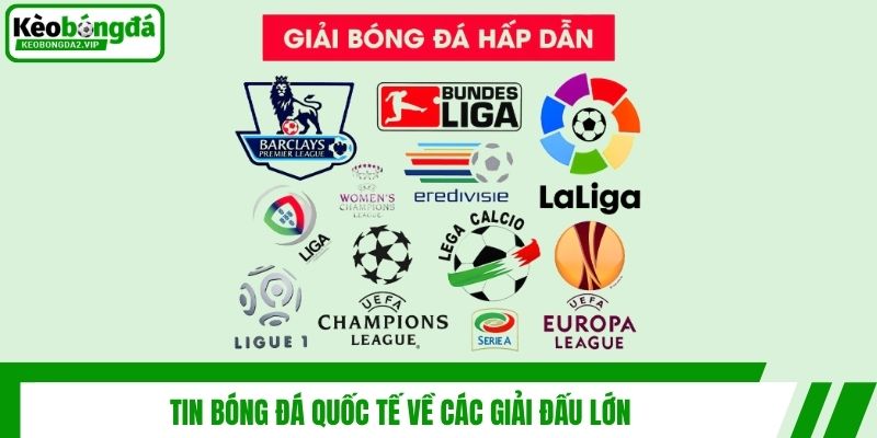 Tin bóng đá quốc tế về các giải đấu lớn