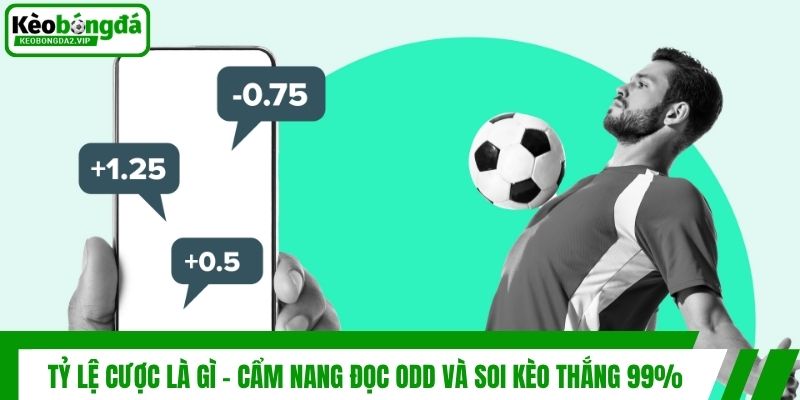 Tỷ Lệ Cược Là Gì - Cẩm Nang Đọc Odd Và Soi Kèo Thắng 99%