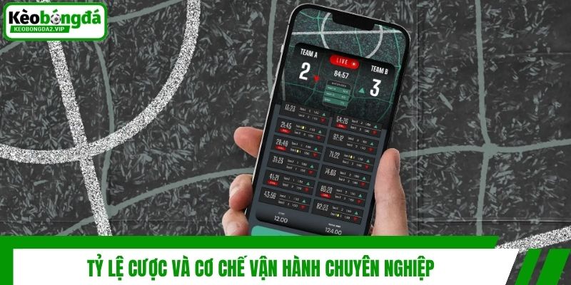 Tỷ lệ cược và cơ chế vận hành chuyên nghiệp