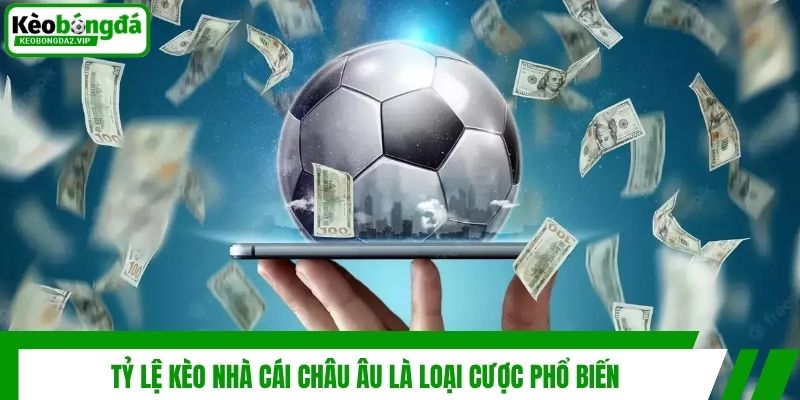 Tìm Hiểu Về Tỷ Lệ Kèo Nhà Cái Châu Âu Trong Cá Độ Bóng Đá 2 Tỷ lệ kèo nhà cái châu Âu là loại cược phổ biến