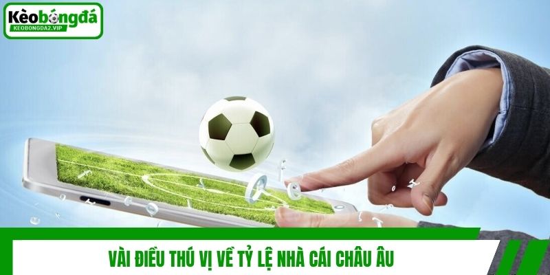 Vài điều thú vị về tỷ lệ nhà cái châu Âu