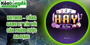 Haywin
