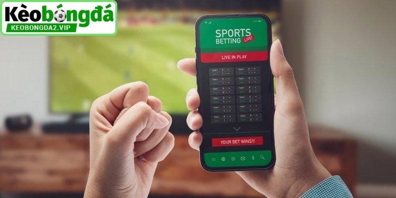 Một số dạng cược phổ biến tại giải đấu K-League
