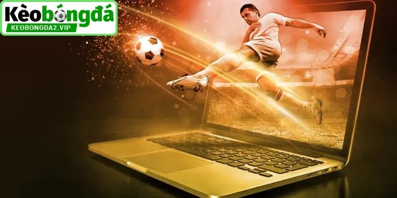 Tổng hợp sách lược soi kèo cược hiệu quả từ cao thủ