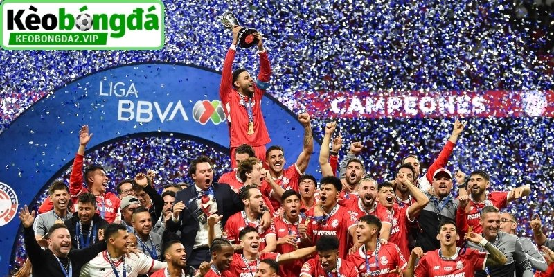 Những nhận định kèo bóng đá Mexico chính xác từ chuyên gia