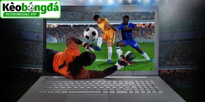 Những dạng cá cược phổ biến tại giải J-League hiện nay