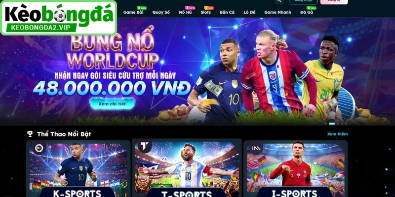 Tổng quan nhà cái Say88