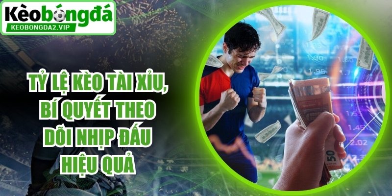 Tỷ Lệ Kèo Tài Xỉu